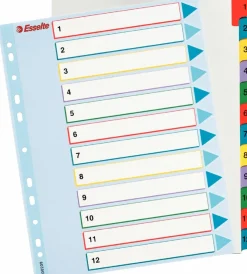 Separador 12 Divisórias A4 Polipropileno