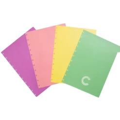 Separadores A4 Pastel Caderno Inteligente