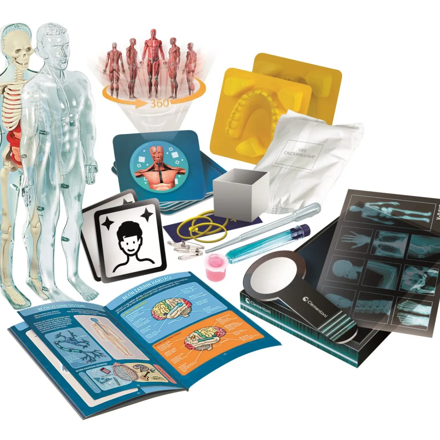Super Anatomia Clementoni