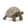 Tartaruga Gigante Schleich