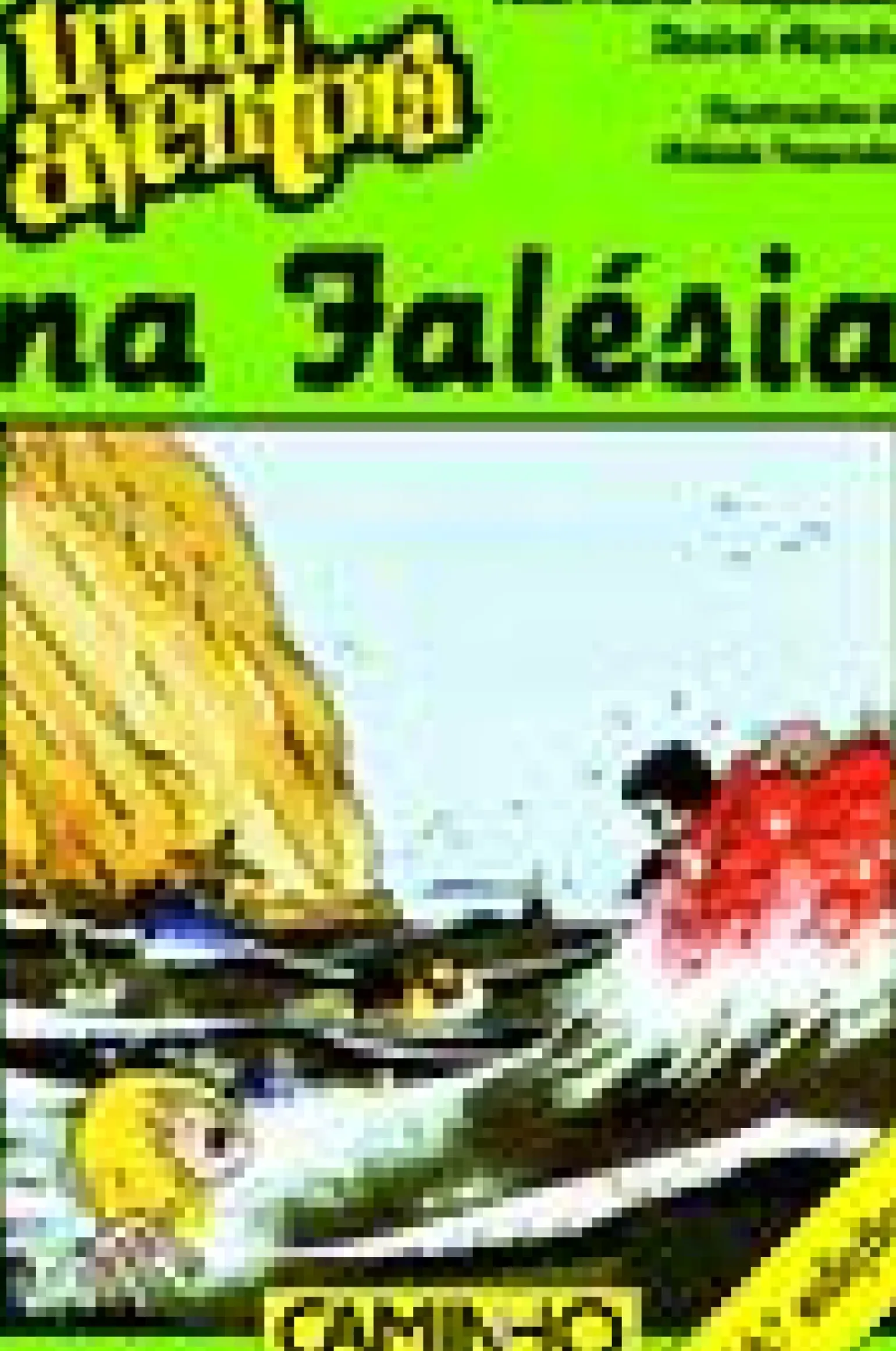 Uma Aventura na Falésia de Ana Maria Magalhães e Isabel Alçada