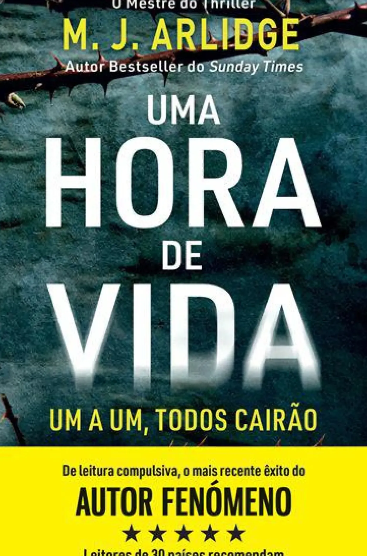 Uma Hora de Vida de M. J. Arlidge - Helen Grace - Livro 9