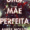 Uma Mãe Perfeita de Aimee Molloy