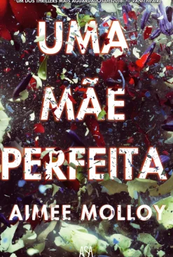 Uma Mãe Perfeita de Aimee Molloy