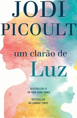 Um Clarão de Luz de Jodi Picoult