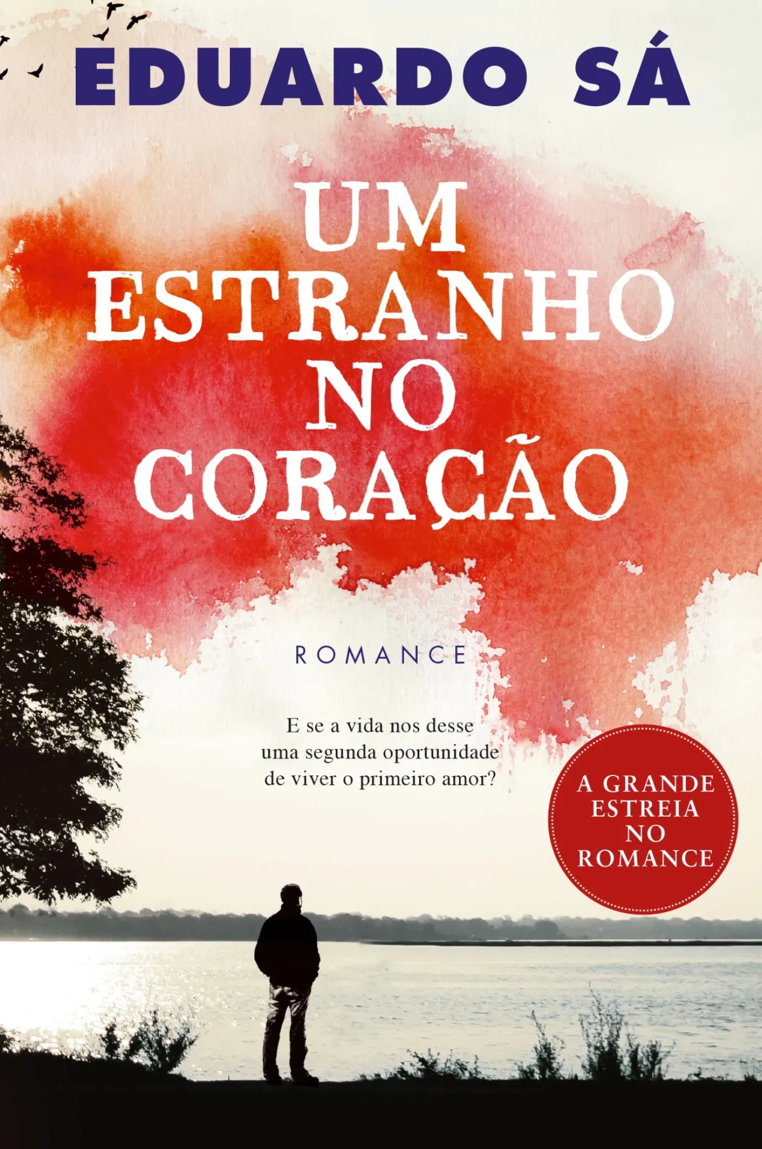 Um Estranho no Coração de Eduardo Sá