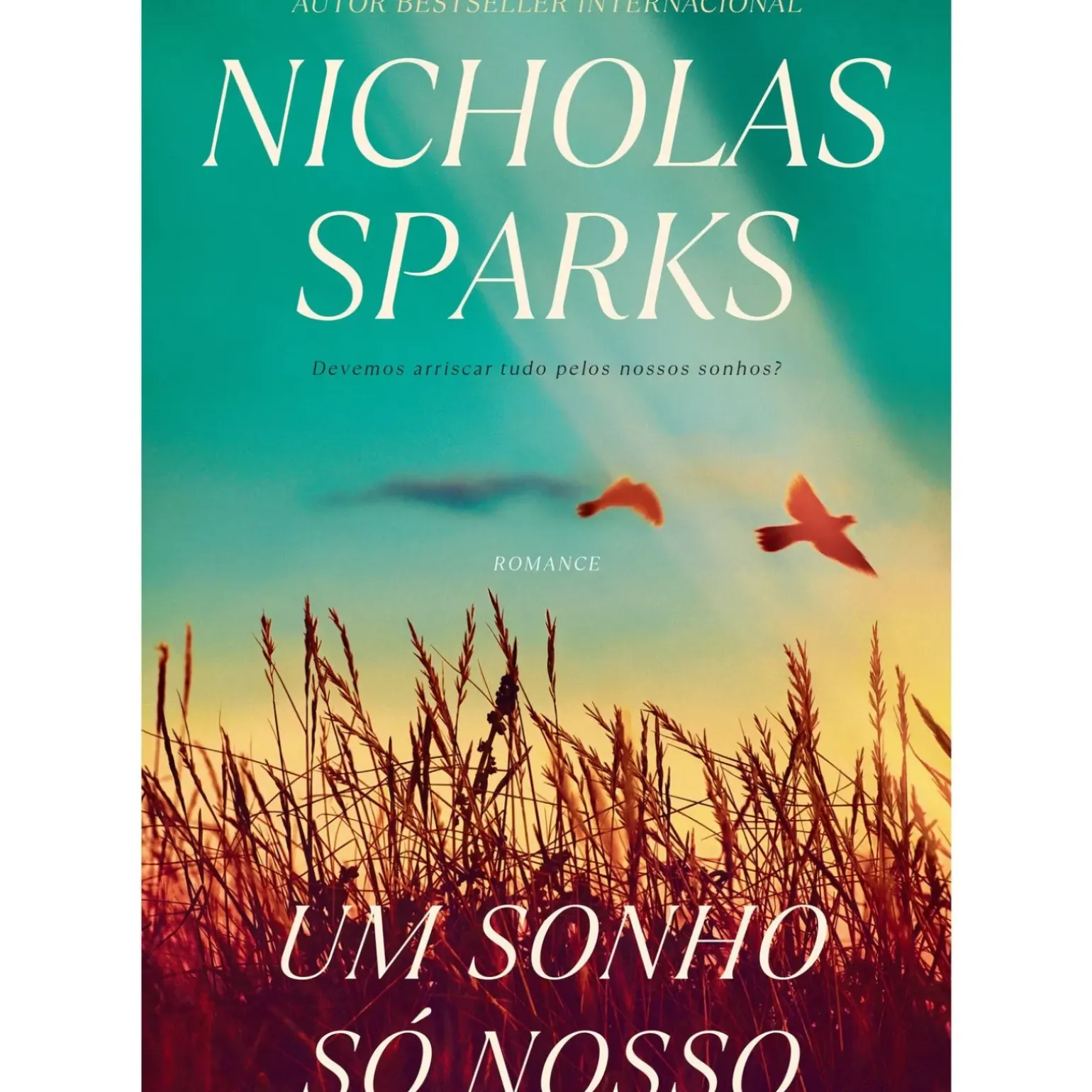 Um Sonho Só Nosso de Nicholas Sparks