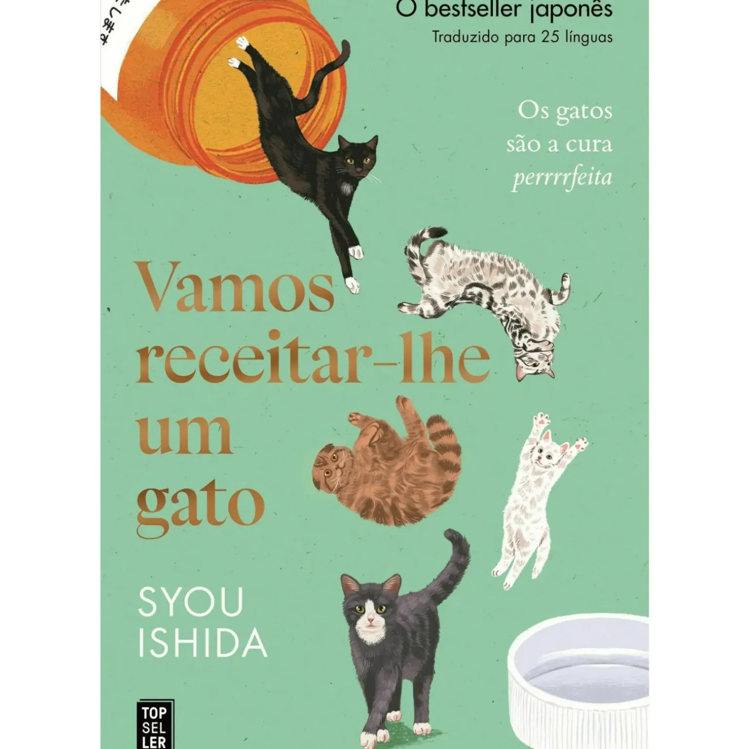 Vamos Receitar-lhe um Gato de Syou Ishida