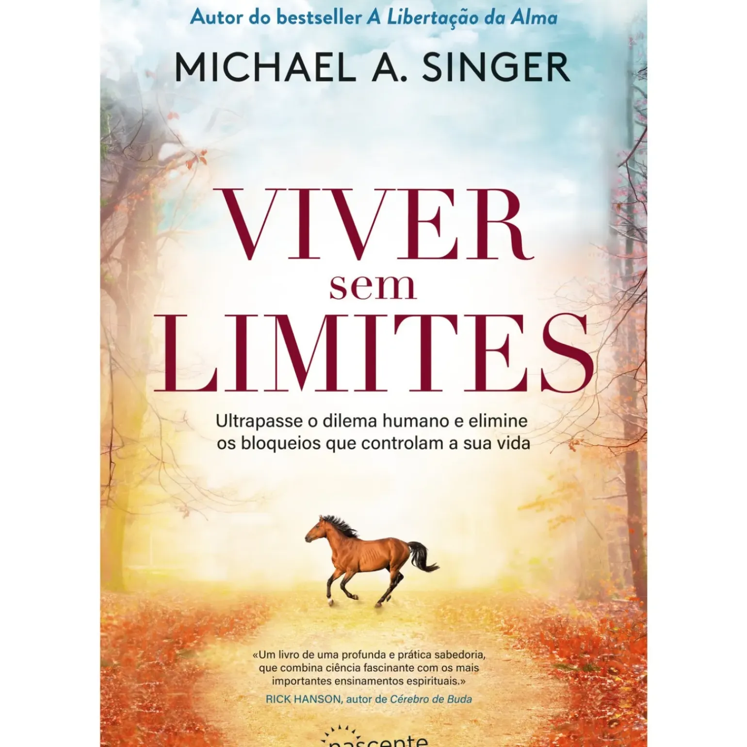 Viver sem Limites de Michael A. Singer