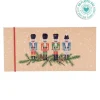 Voucher Com Envelope - Quebra-Nozes